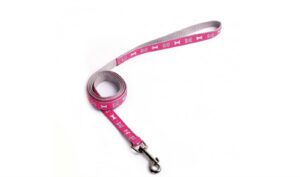 Lesa nylon Record, decor os - M 1.6 cm x 120 cm - Roz