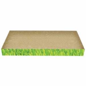 Carton de zgariat pentru pisici, 48.26×22.86×5.08 cm, Verde