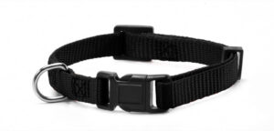 Zgarda nylon Record- 2.5 cm x 48-73 cm - Negru
