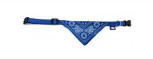 Zgarda nylon Record cu bandana - S 35 - 50 cm - Albastru