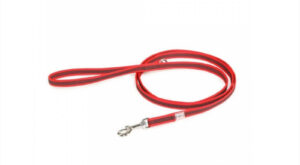 Lesa caine Julius K9 Color & Gray, antiderapanta, cu maner - 20mmx2m - Rosu
