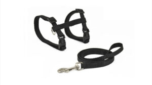 Set lesa 10 mm - 120 cm si ham 10 mm x 27-45 cm Nayeco - Pisica - Negru