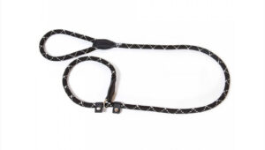 Lesa caine Julius k-9 cordelina cu zgarda reglabila - 12mmx1.2m