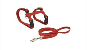 Set lesa 10 mm - 120 cm si ham 10 mm x 27-45 cm Nayeco - Pisica - Rosu