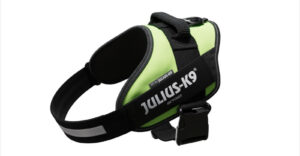 Ham caine Julius K9 IDC Power - XS 33-45 cm - Neon
