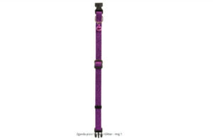 Zgarda pisici Nayeco Glitter cu clopotel 20-33 cm